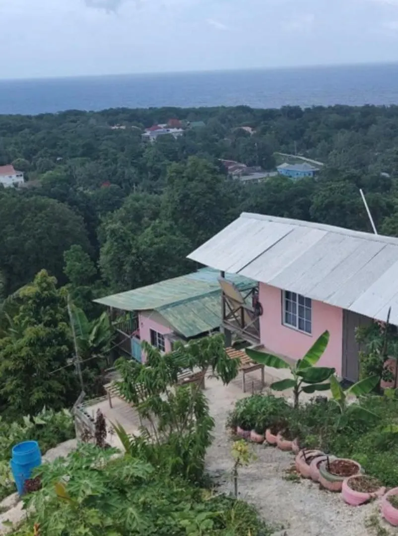 Backra'S Villa Port Antonio 0*,  Jamaica
